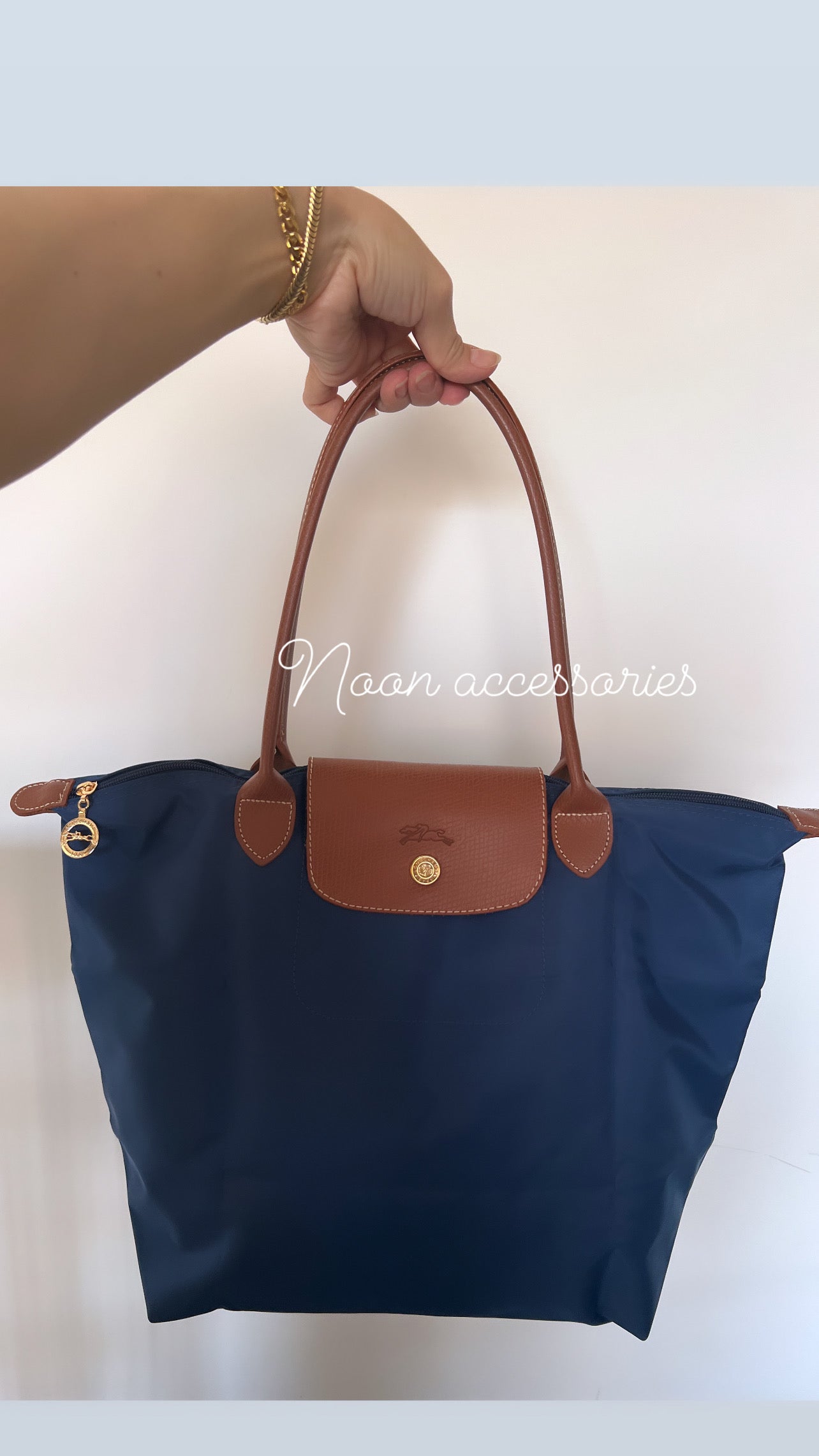 Longchamp Le Peliage large size