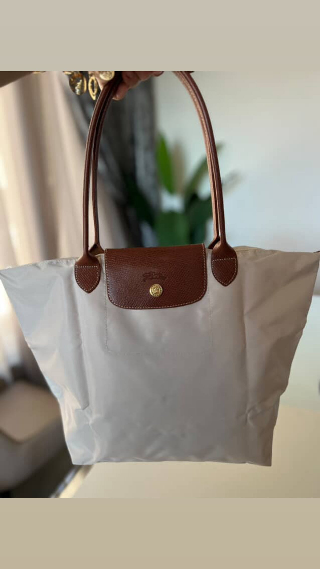 Longchamp Le Peliage large size