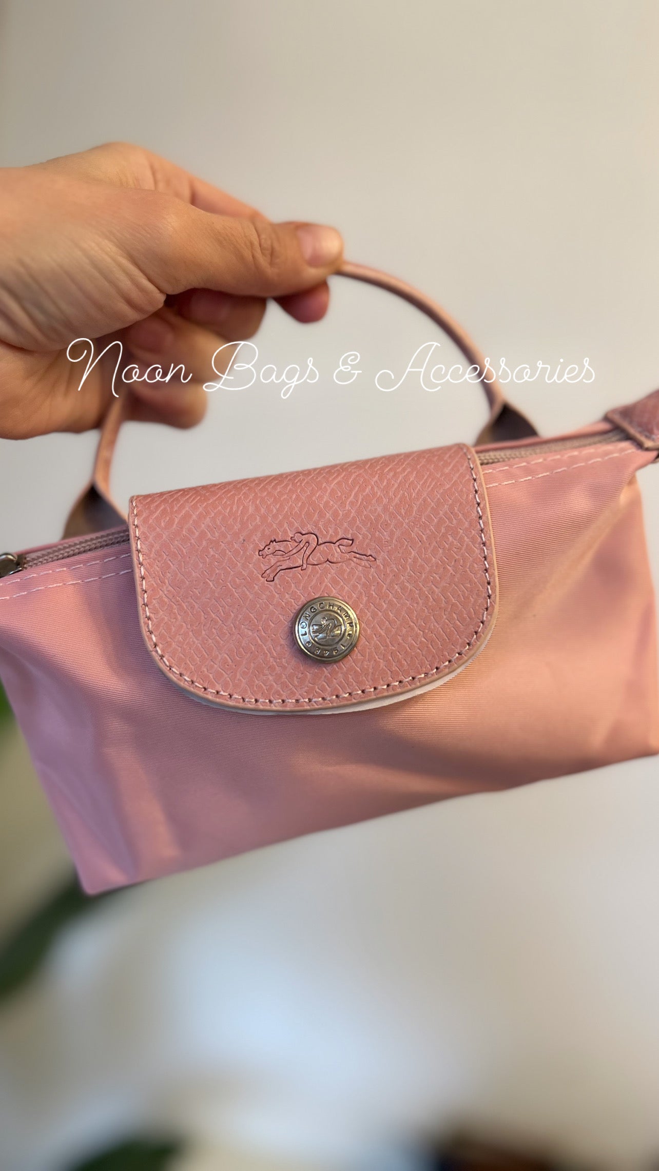 Longchamp mini size