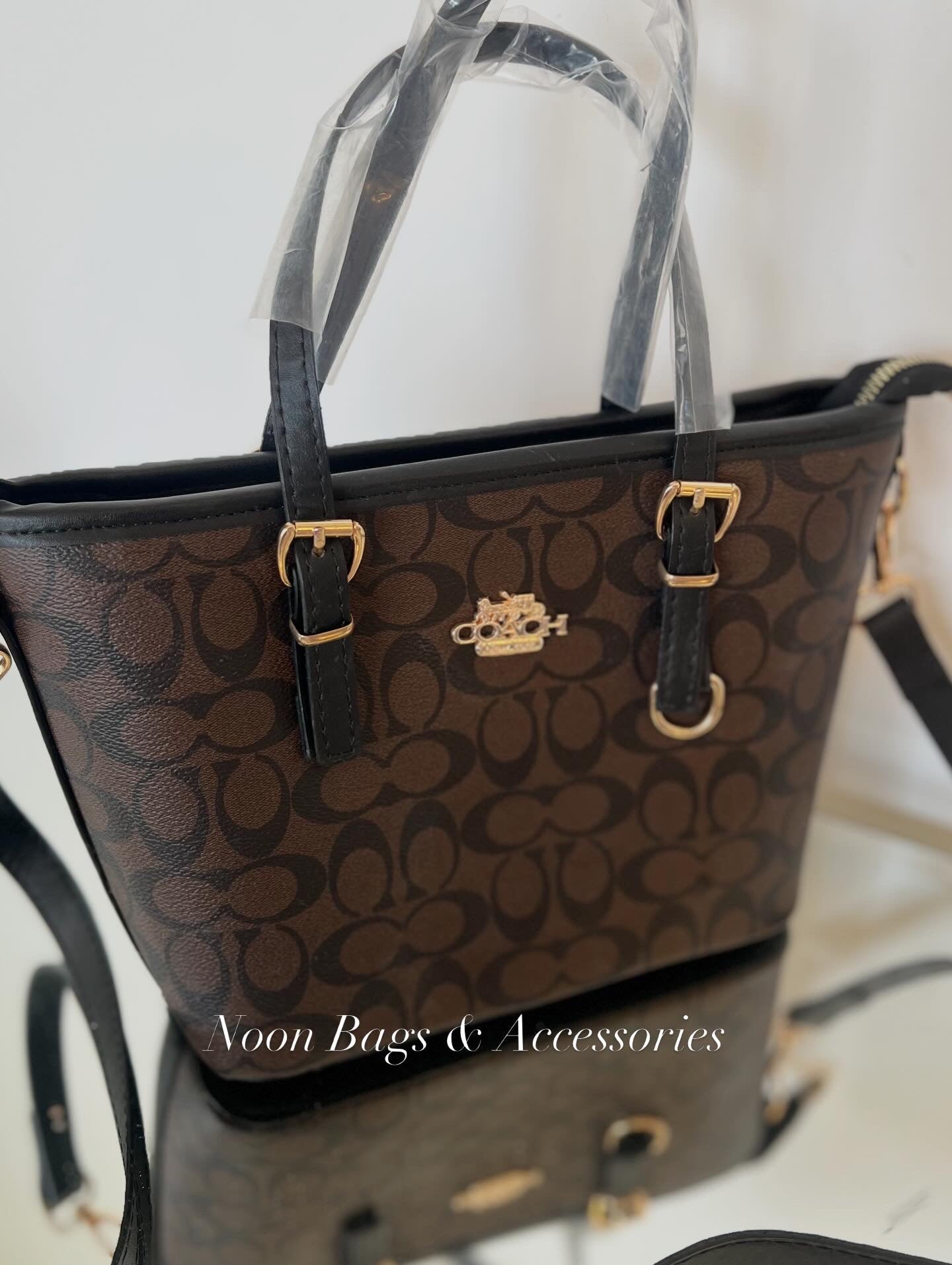 Coach tote bag (medium size)