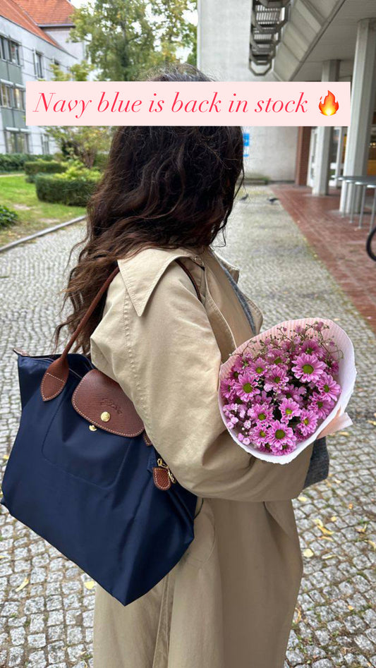 Longchamp Le Peliage large size